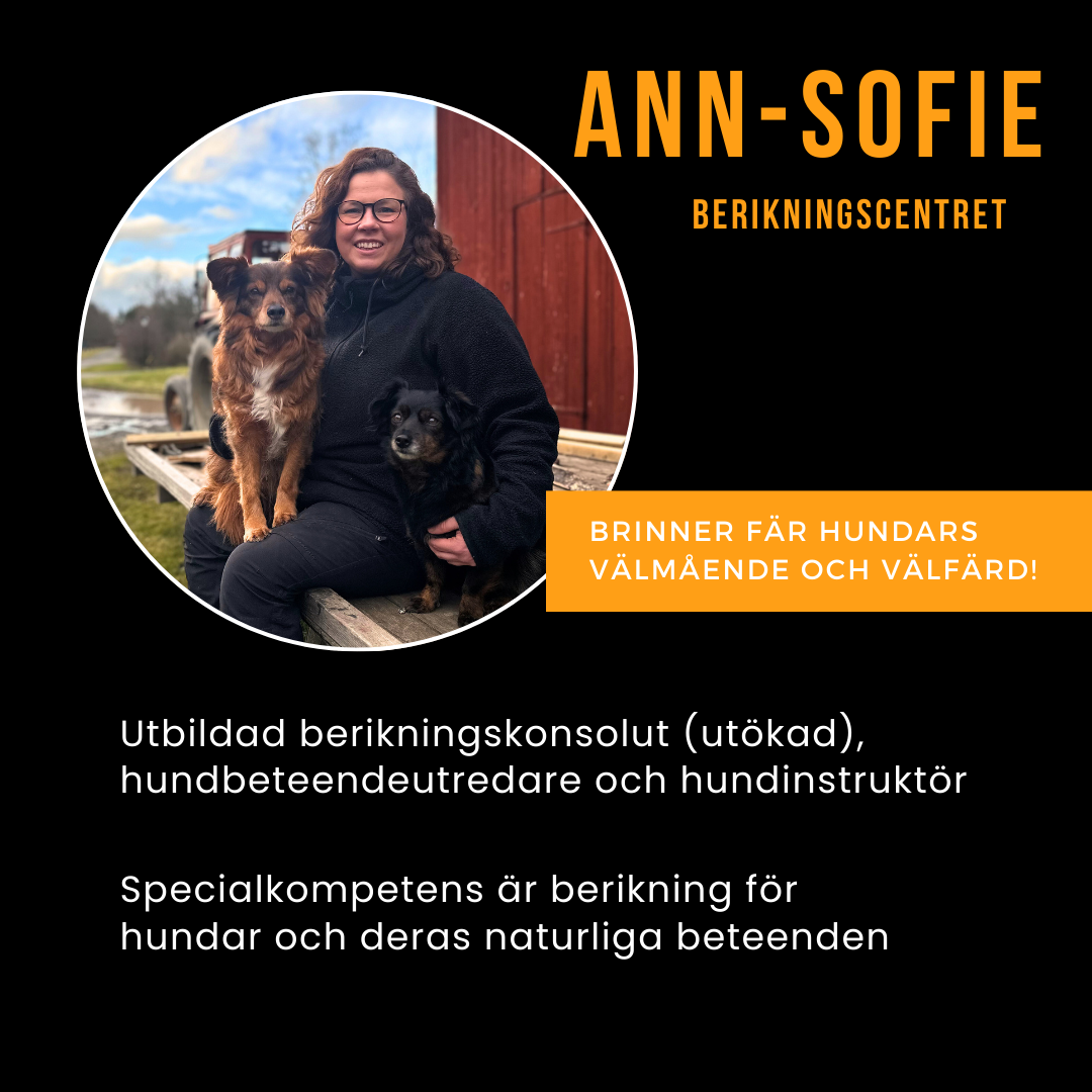 Workshop: Planera berikning