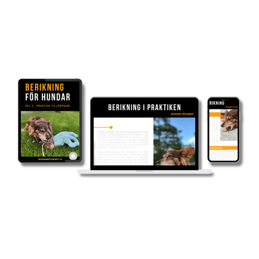 E-bok Berikning för hundar - Del 2 Praktisk tillämpning (Förhandsbeställning)