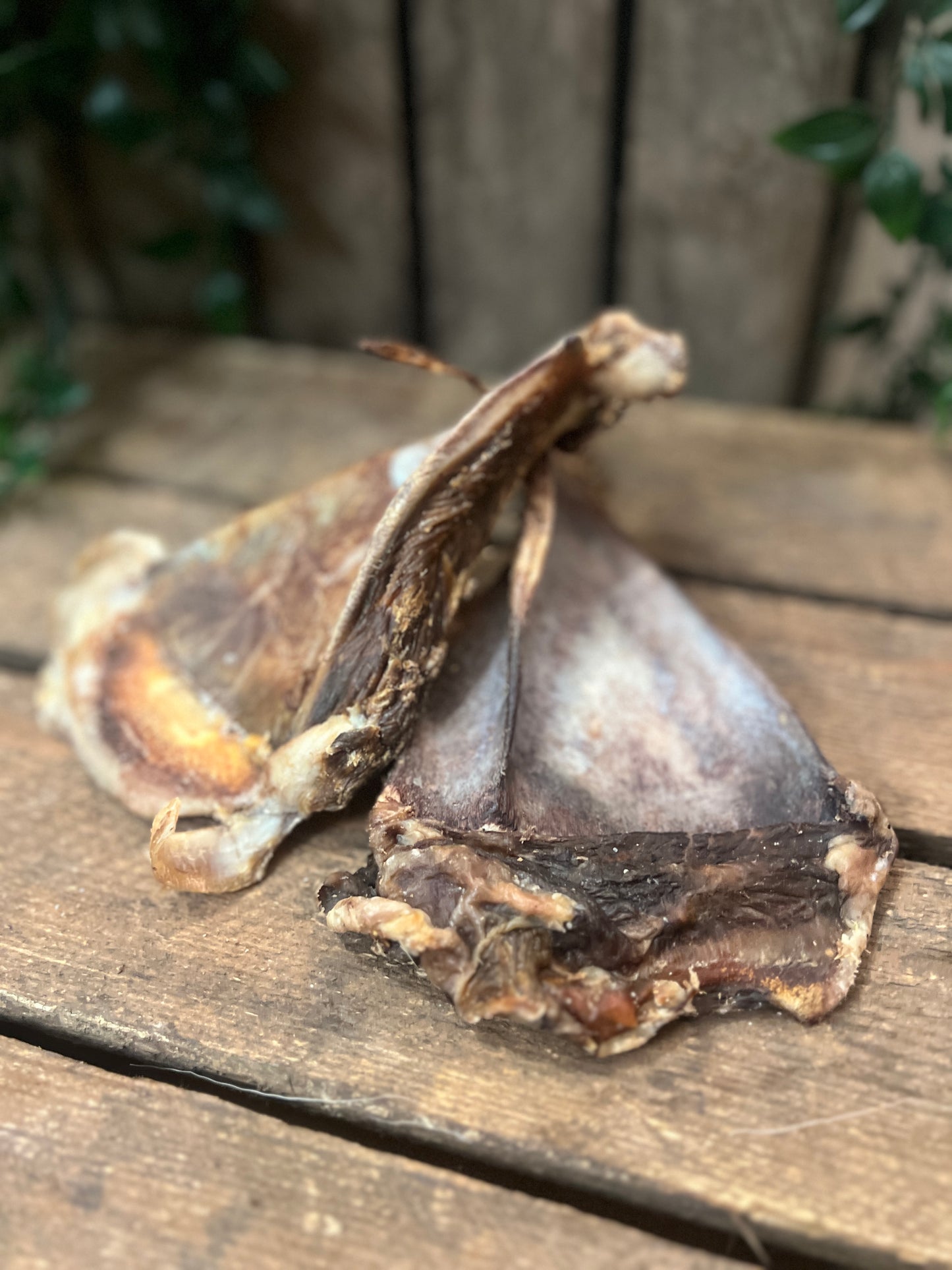 Lamb's liver