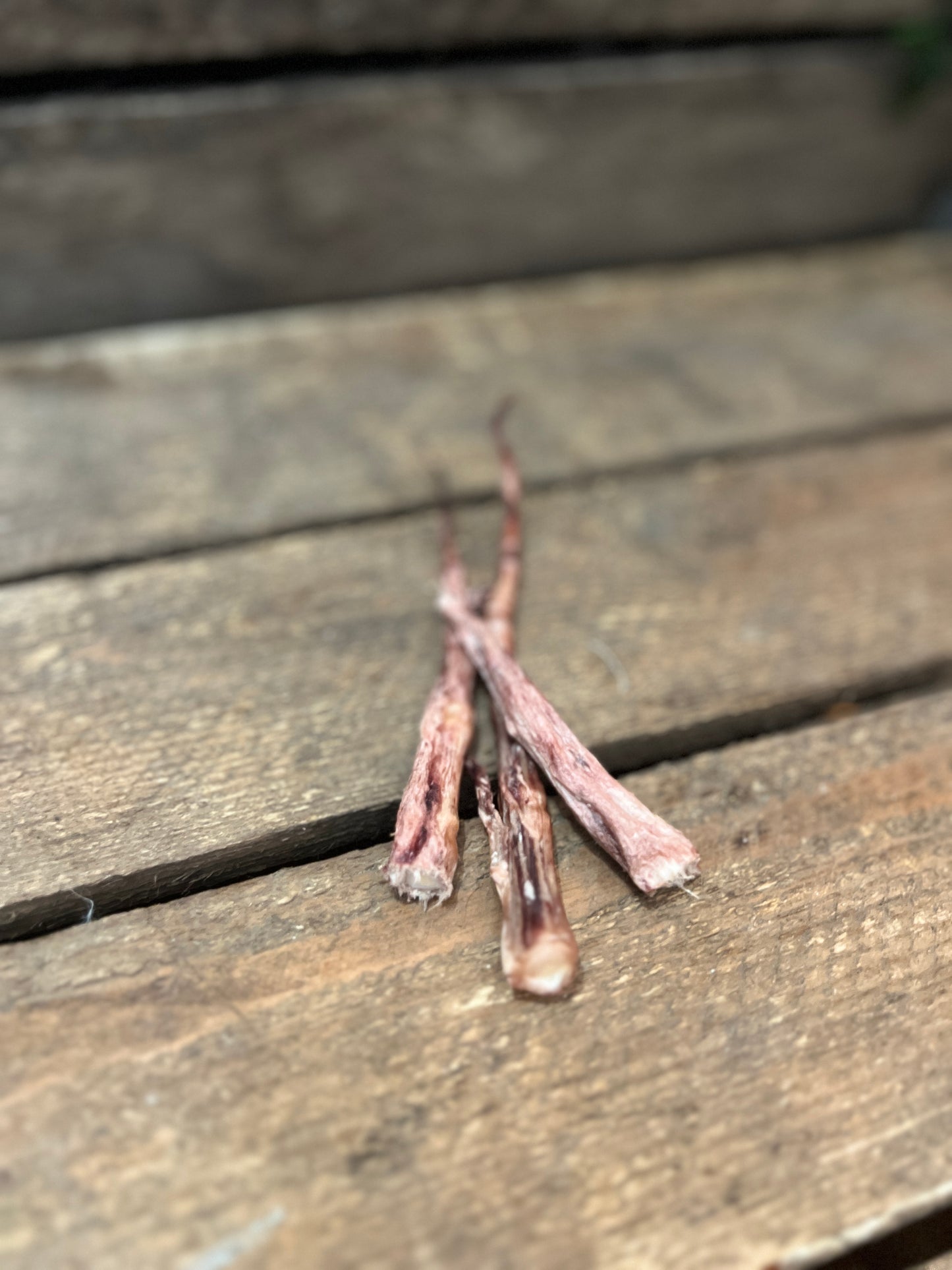 Freezies Frystorkad Oxsvans