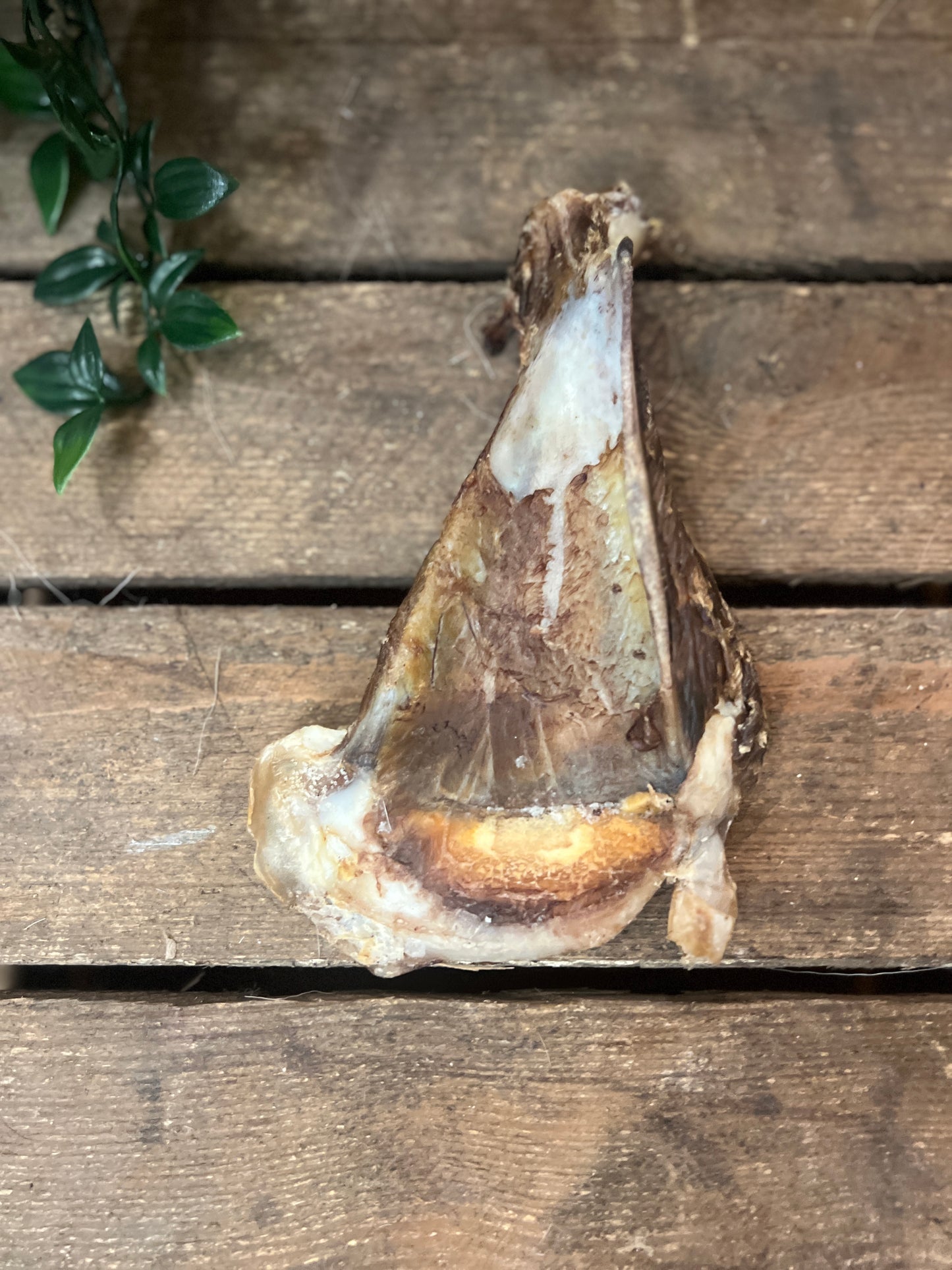 Lamb's liver