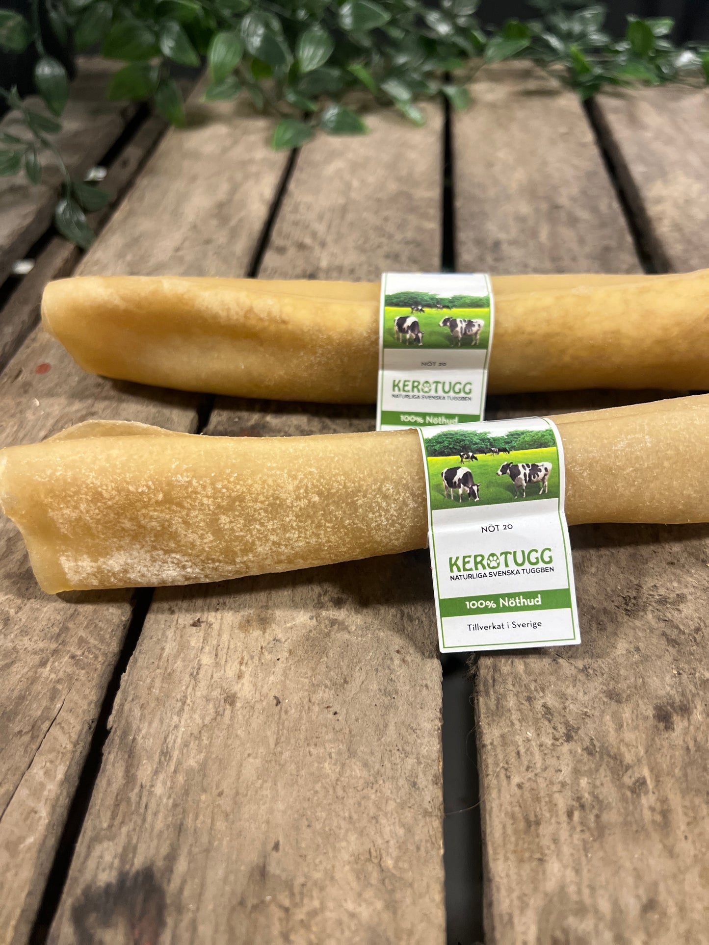 Tuggrulle Nöt