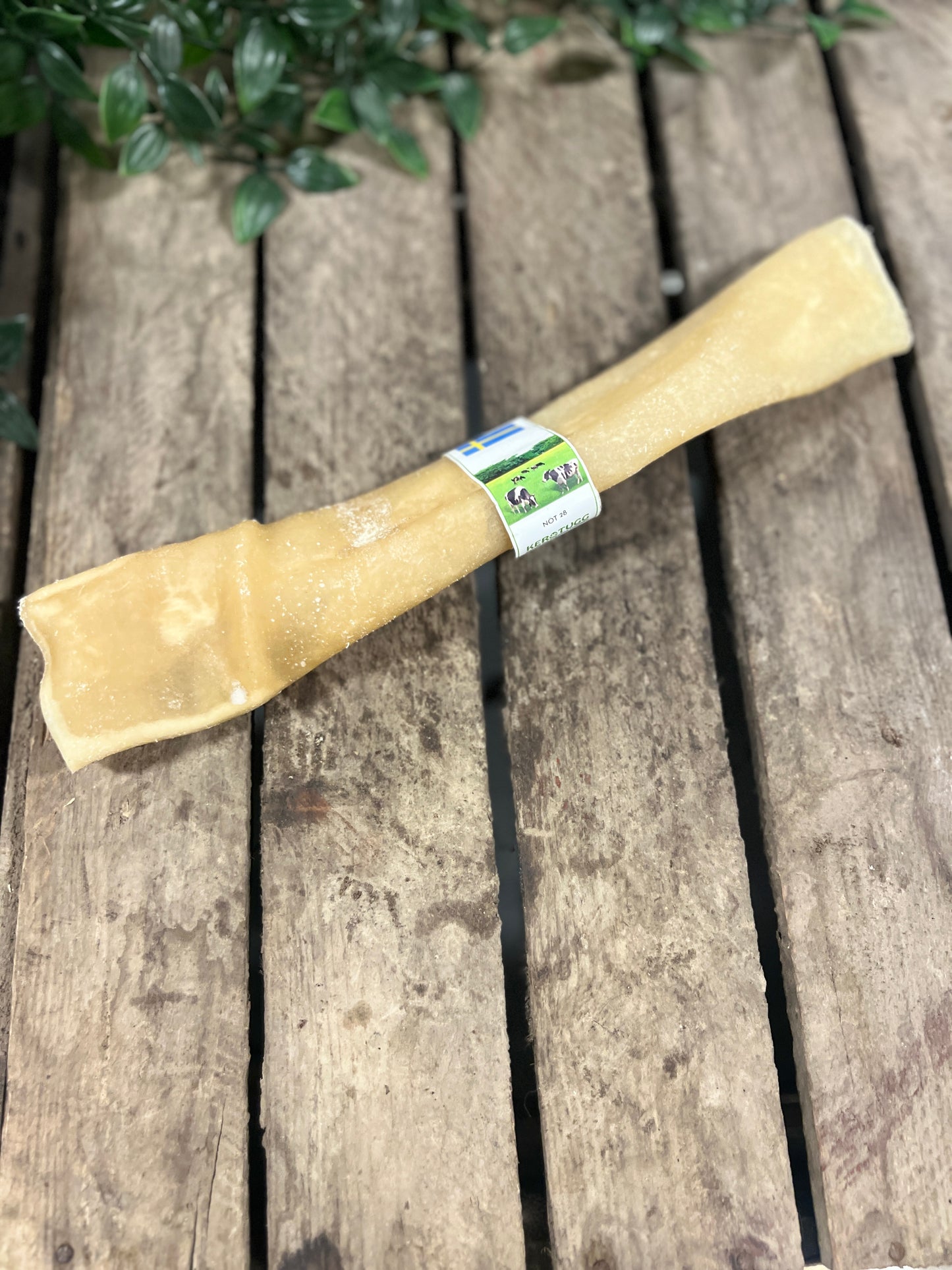 Tuggrulle Nöt