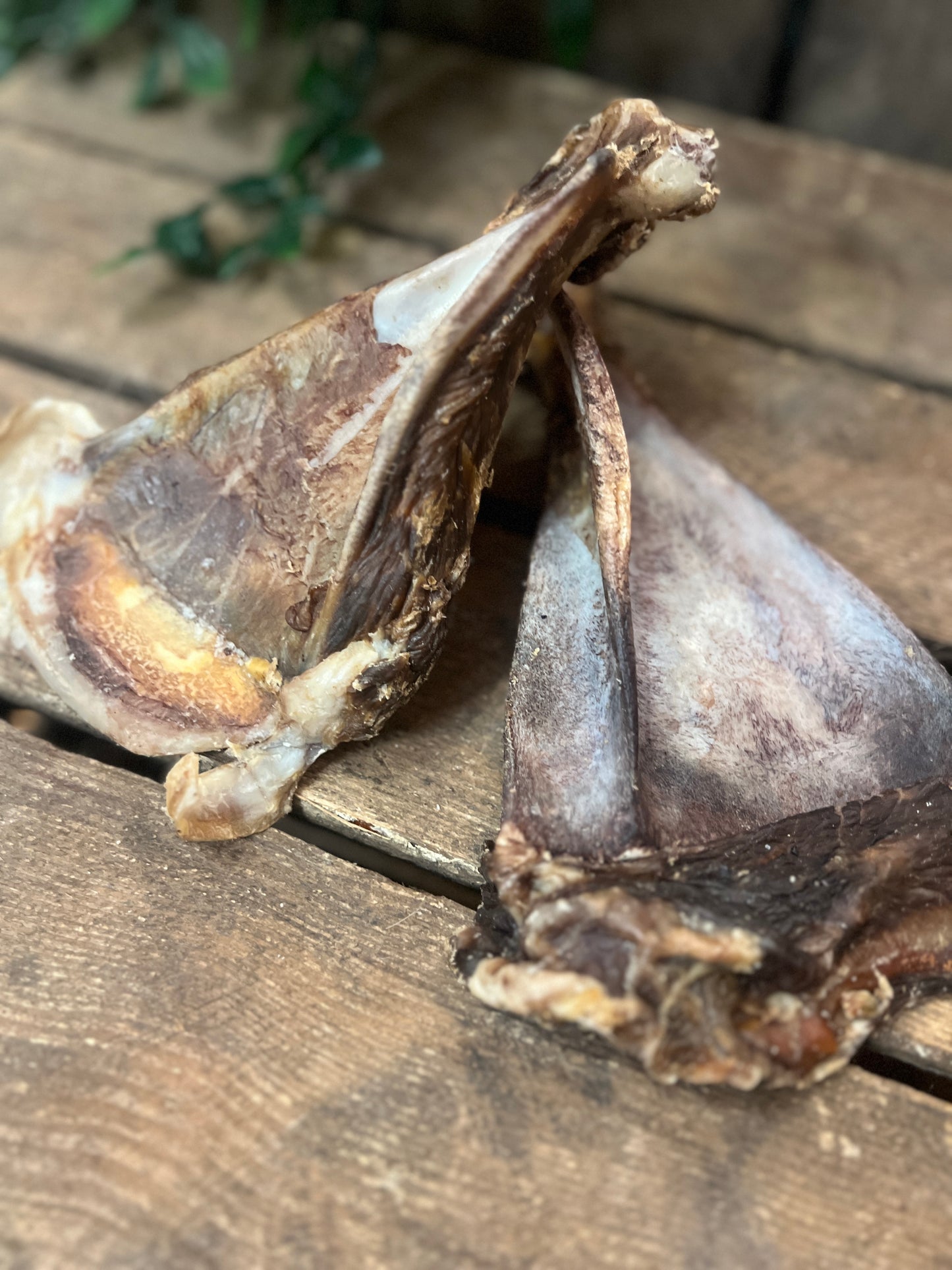 Lamb's liver