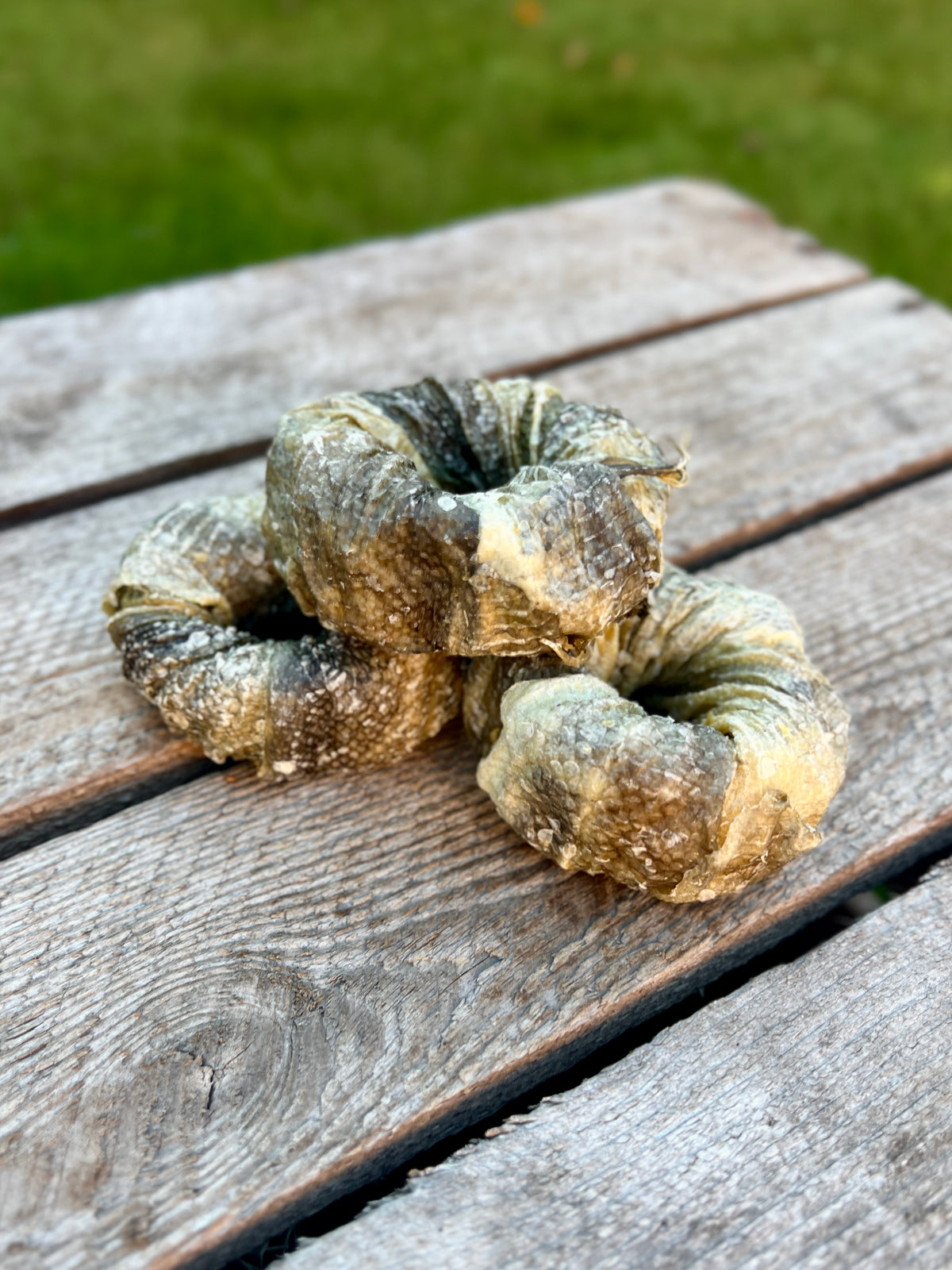 Torskdonut