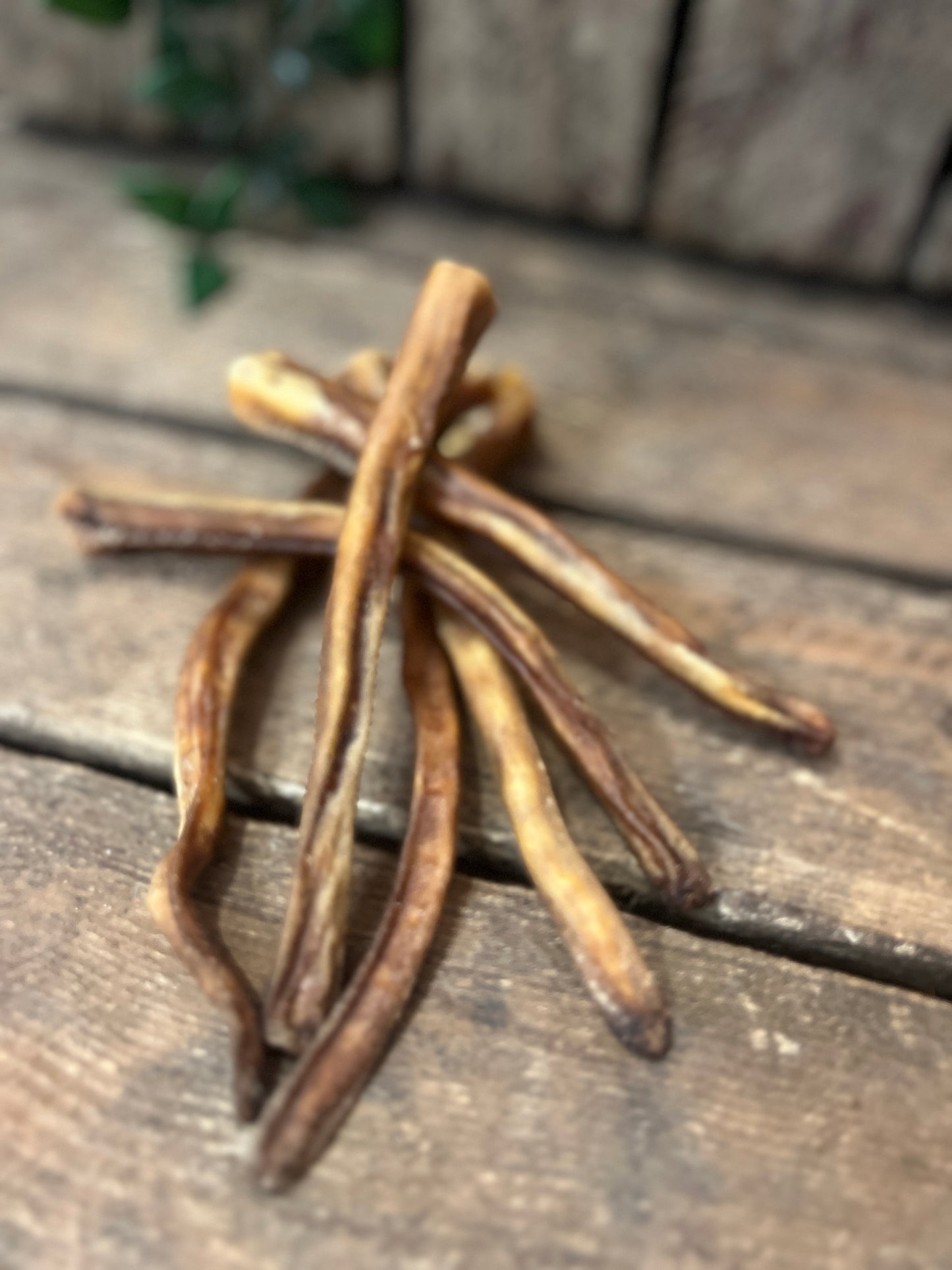 Grisknorrstrips