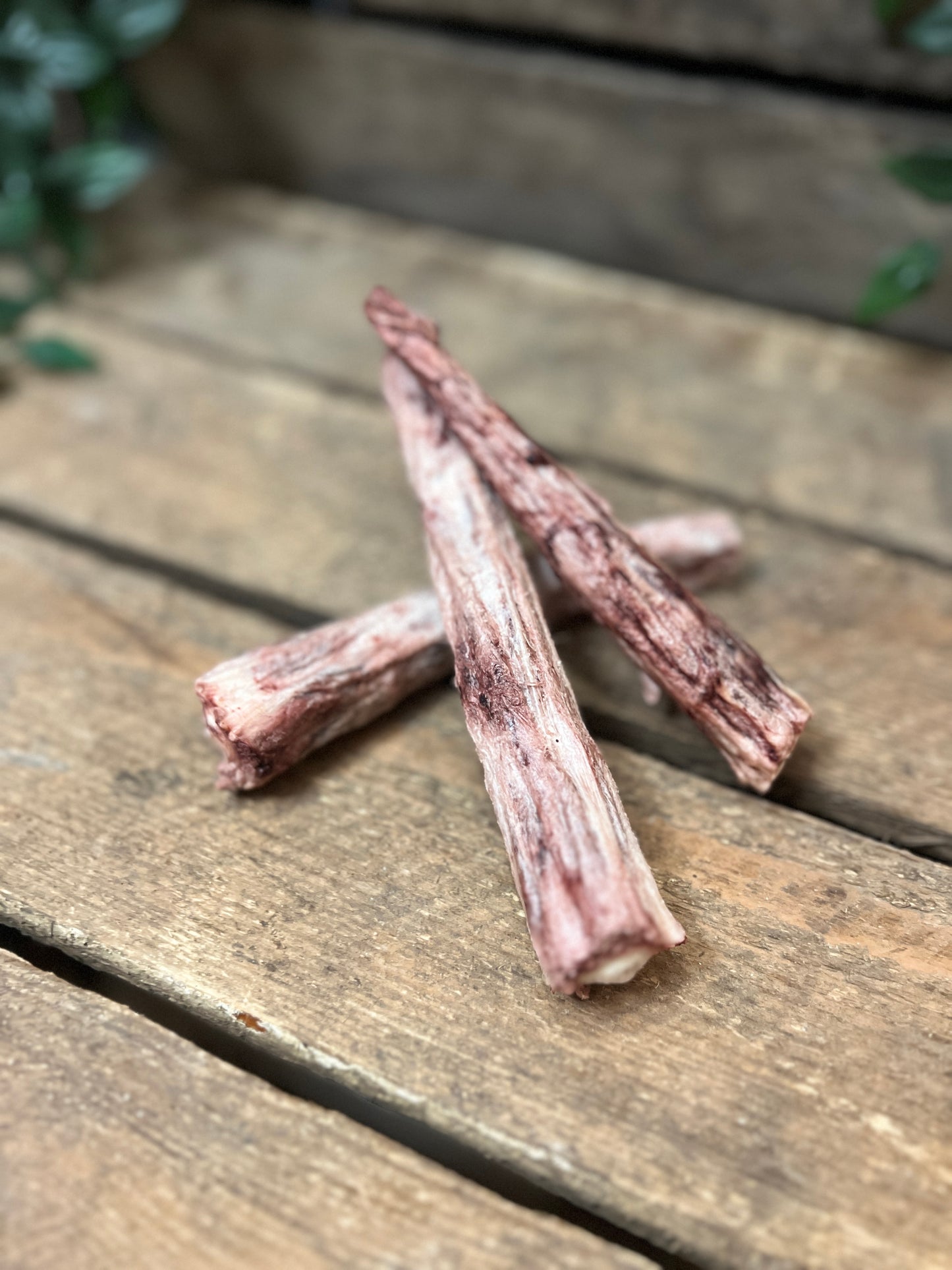 Freezies Frystorkad Oxsvans