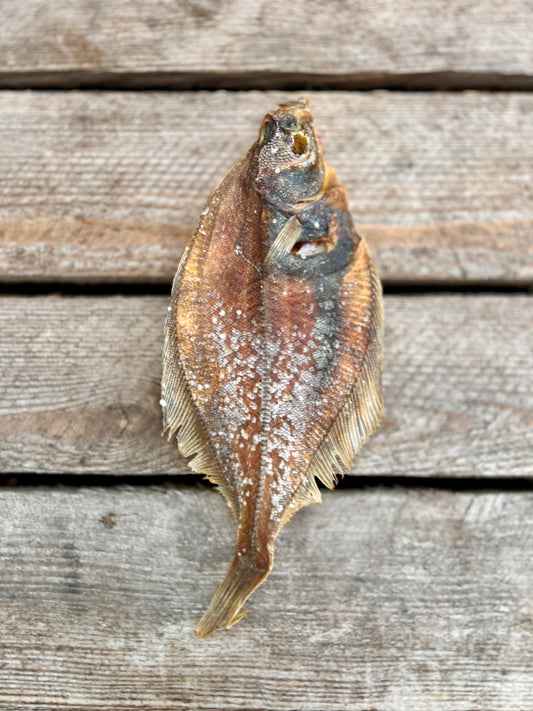 Plaice