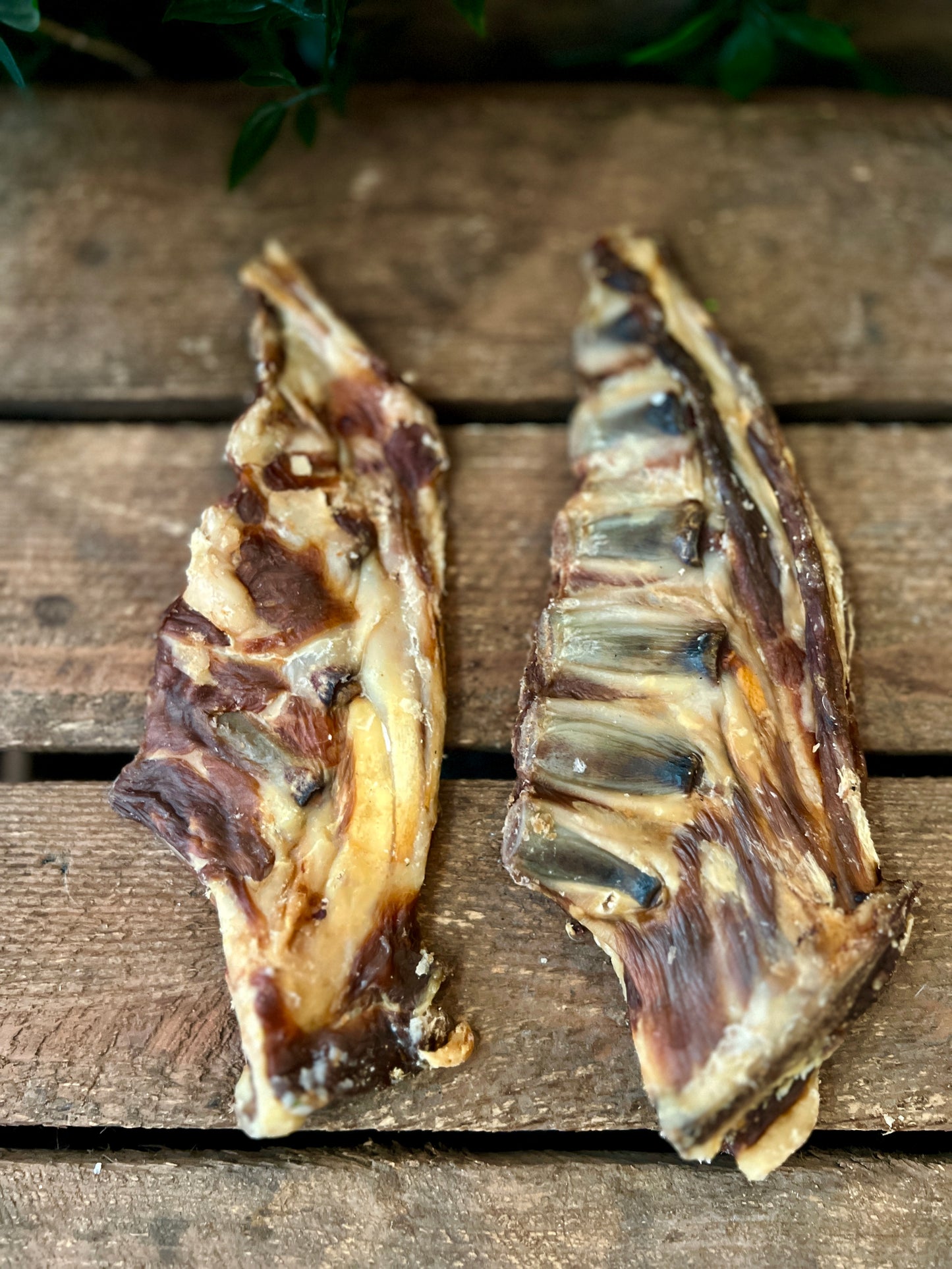 Lamb ribs