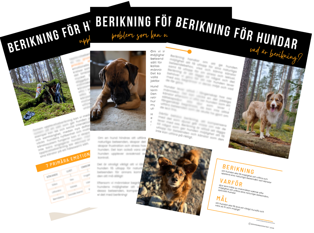E-bok Berikning för hundar - med bonusar