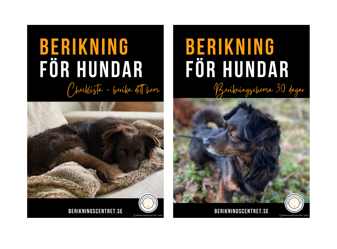 E-bok Berikning för hundar - med bonusar