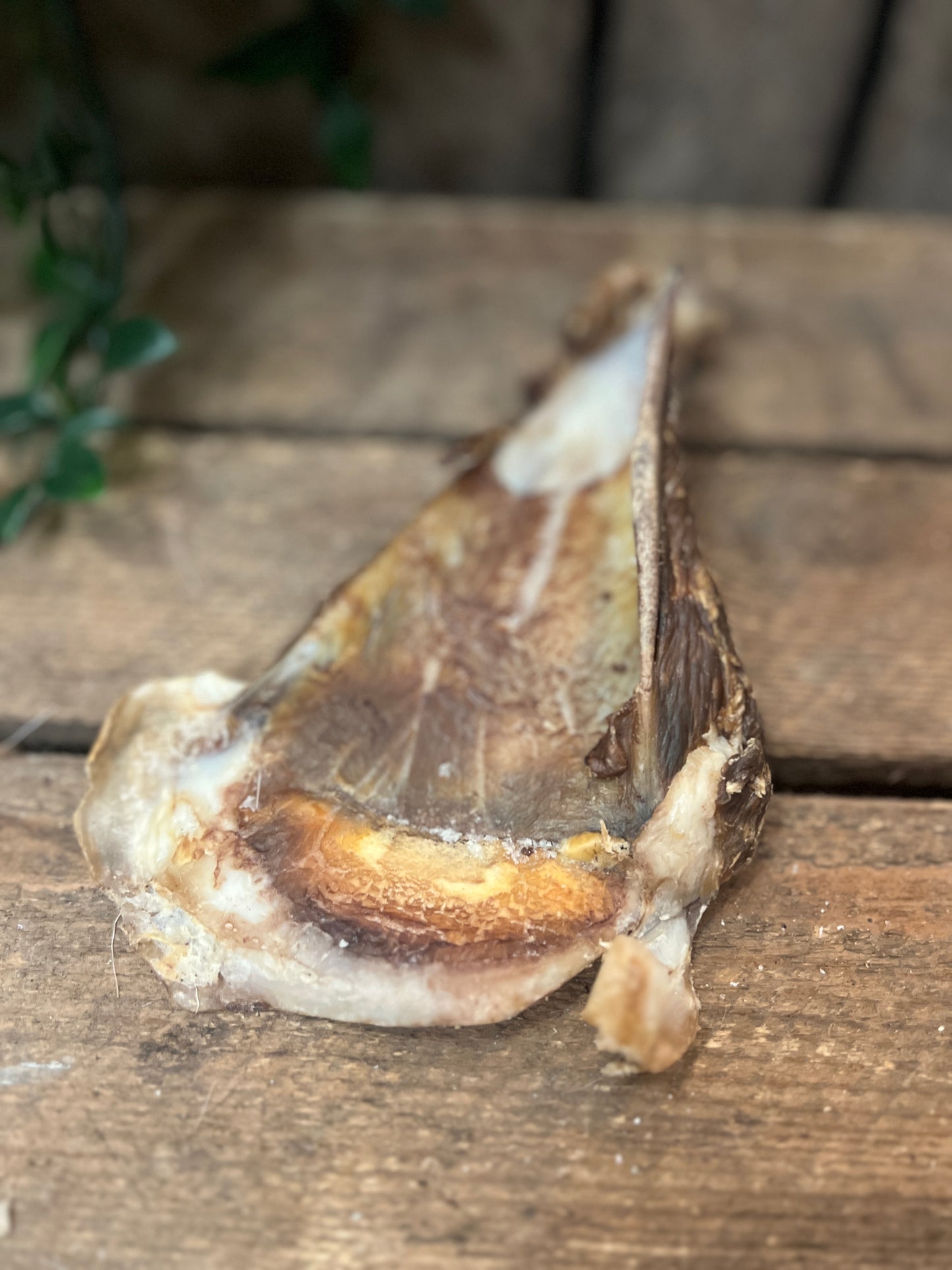 Lamb's liver