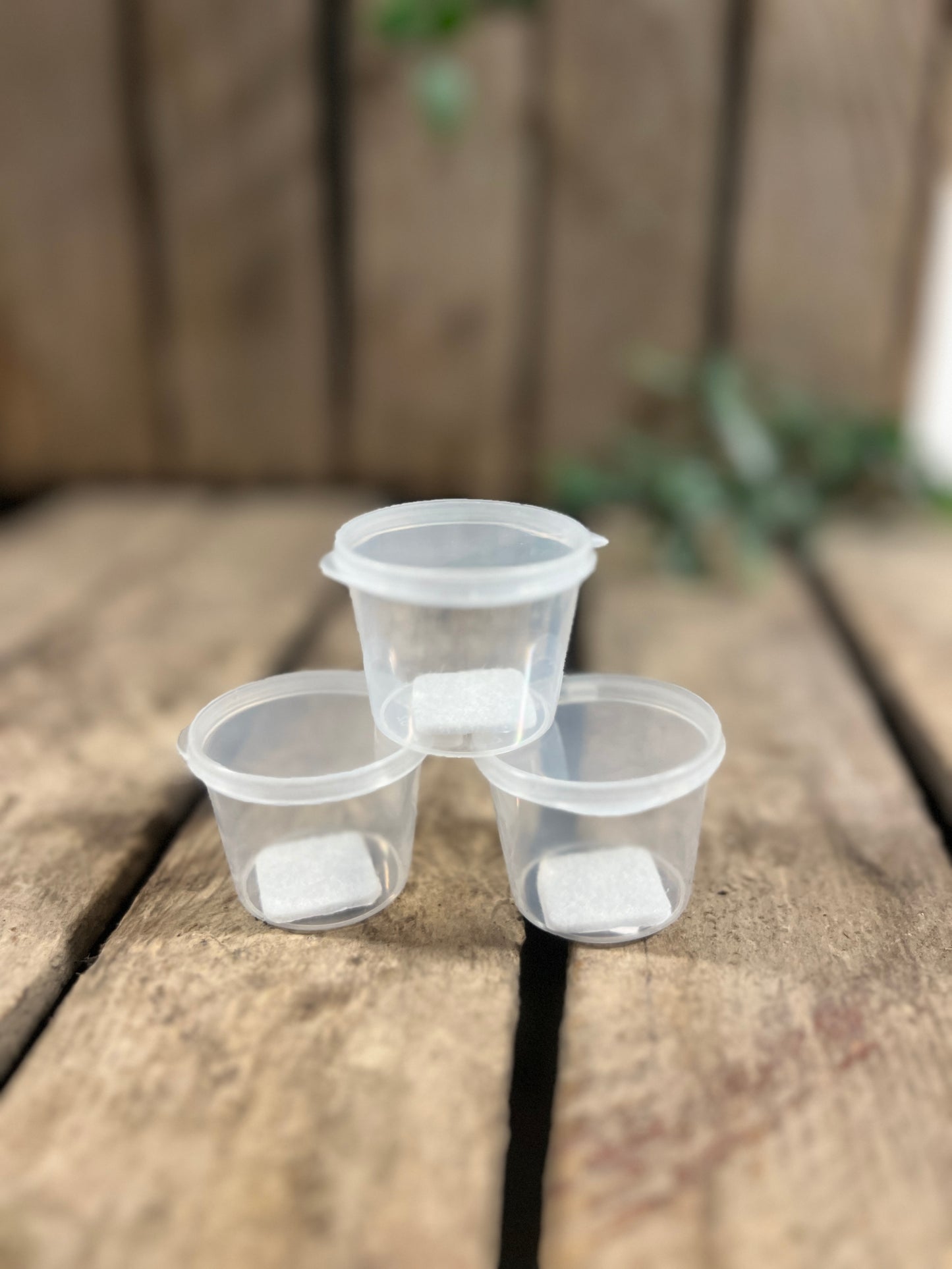 Fragrance for an enriching experience