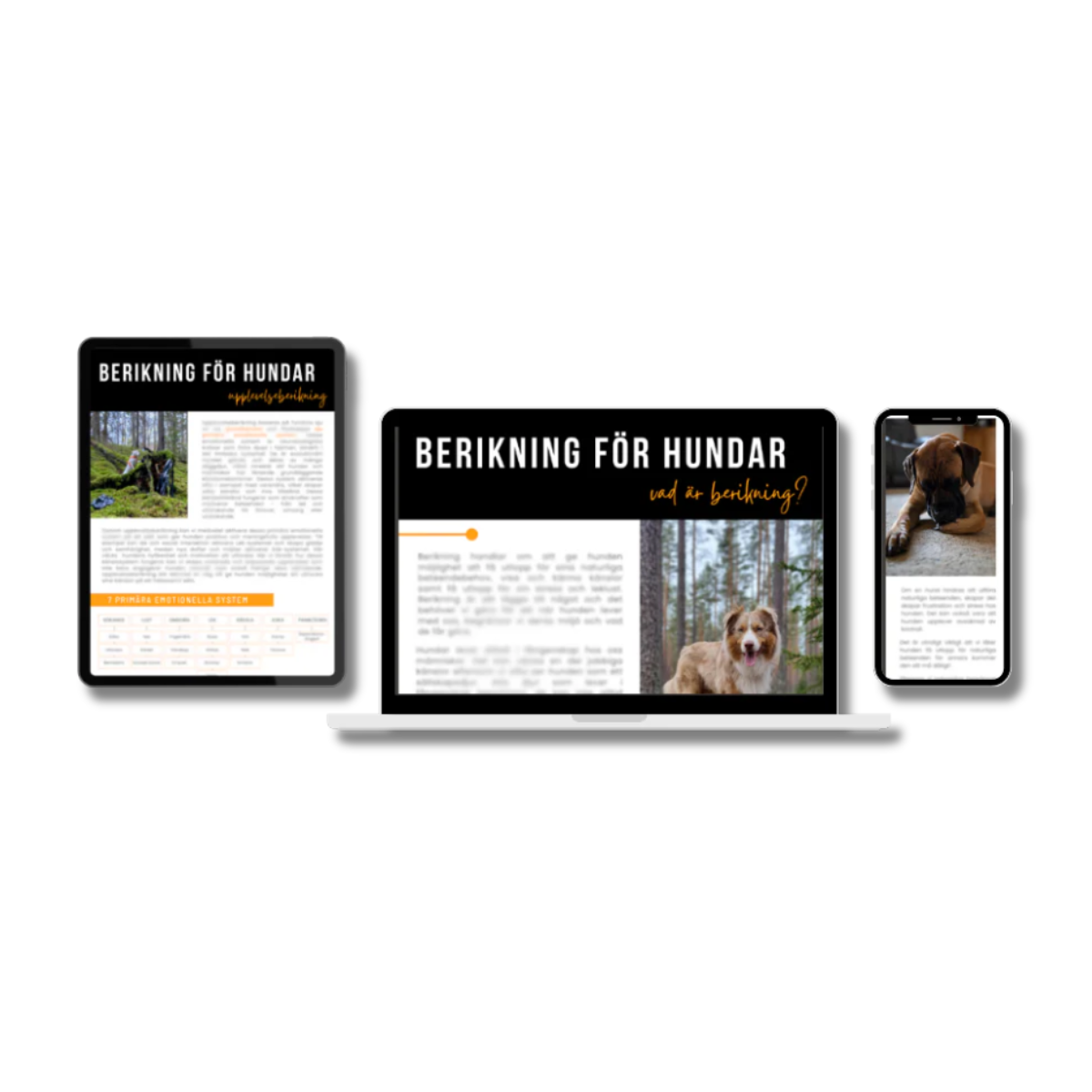 E-bok Berikning för hundar - Del 1 Förstå berikning