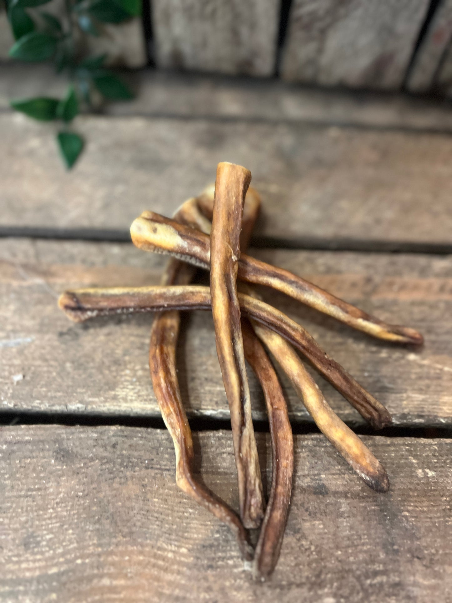 Grisknorrstrips