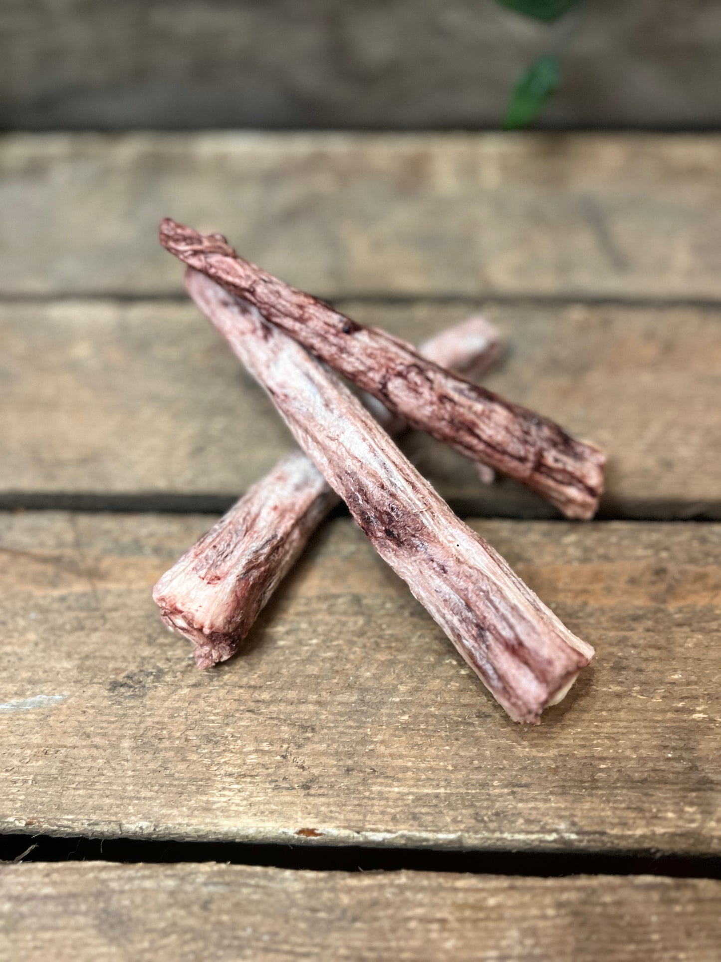 Freezies Frystorkad Oxsvans