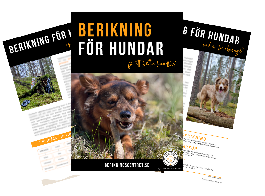 E-bok Berikning för hundar - med bonusar