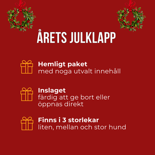 Årets julklapp