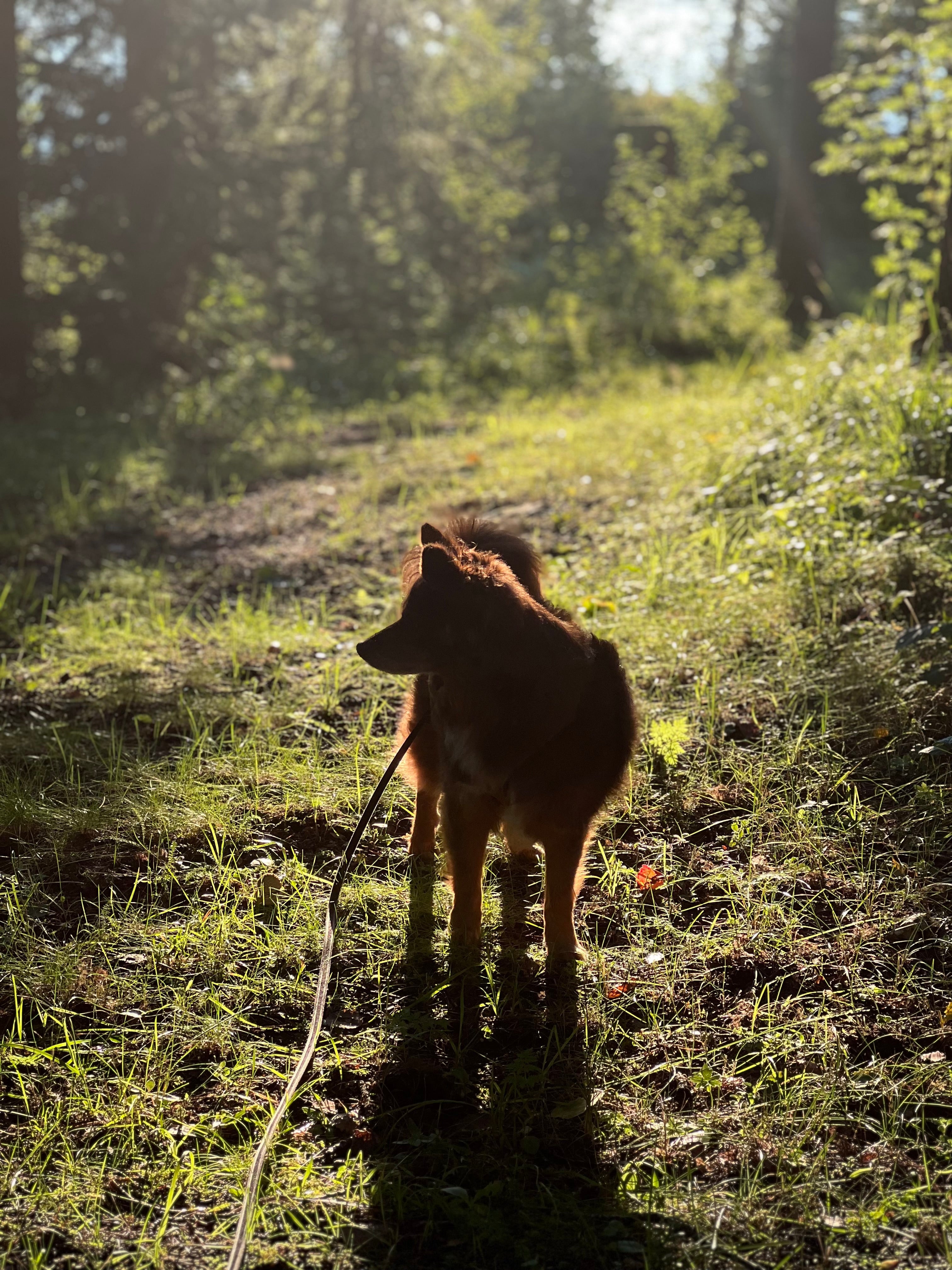Lär dig om berikning