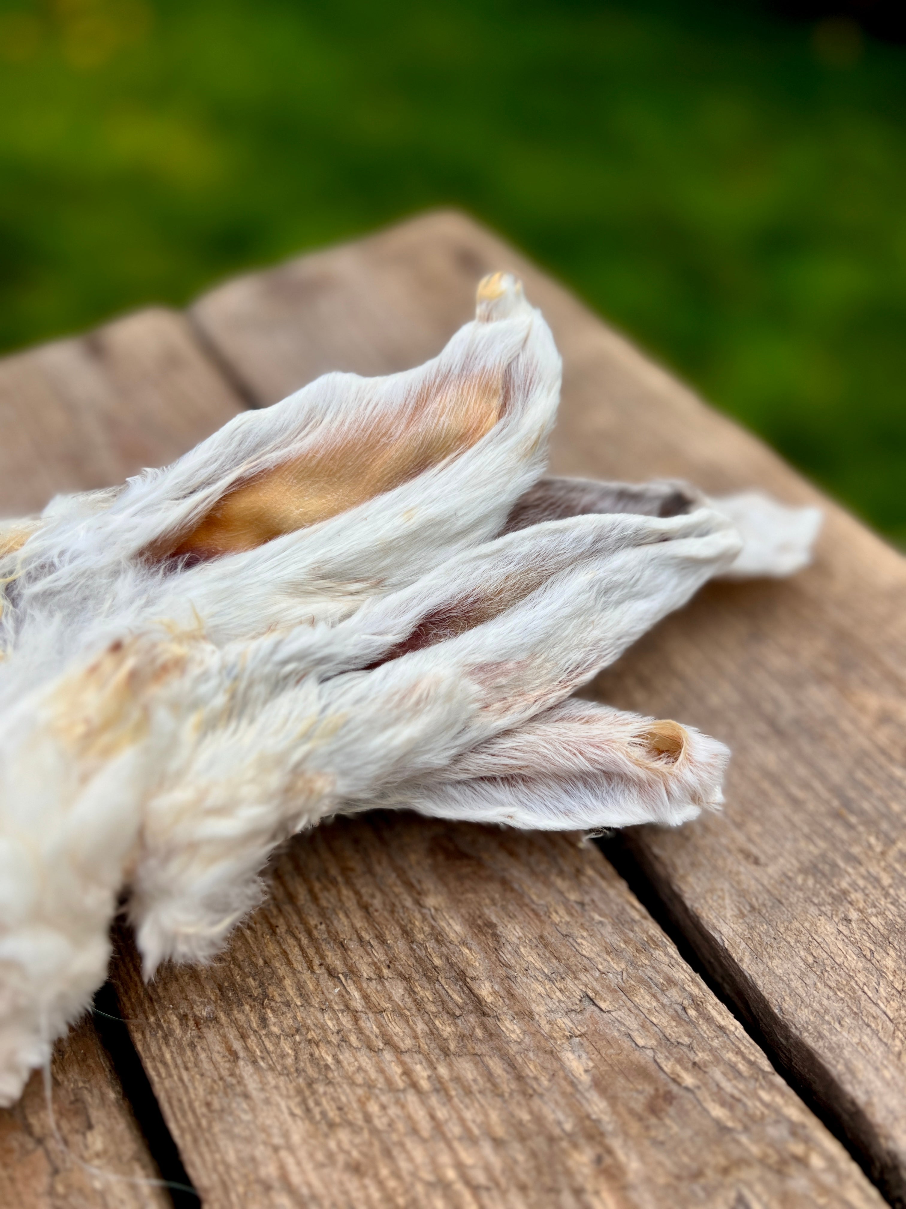 Djurpaket för berikning