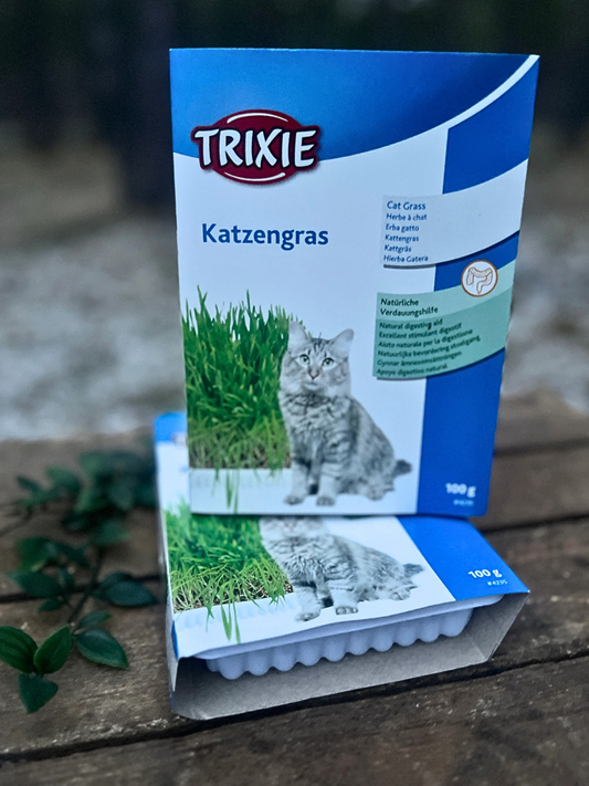 Kattgräs