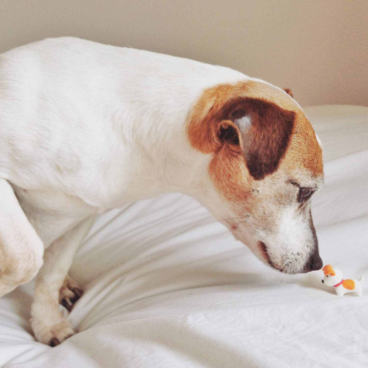 Individanpassad berikning – 3 mån färdiga upplägg