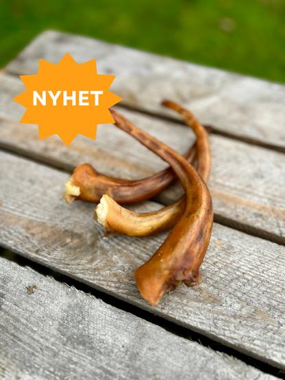Grisknorr
