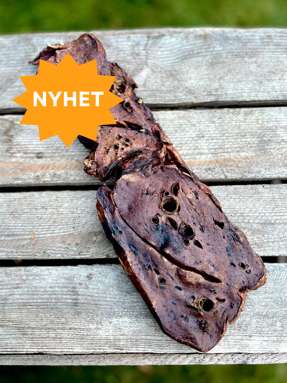Hästlunga