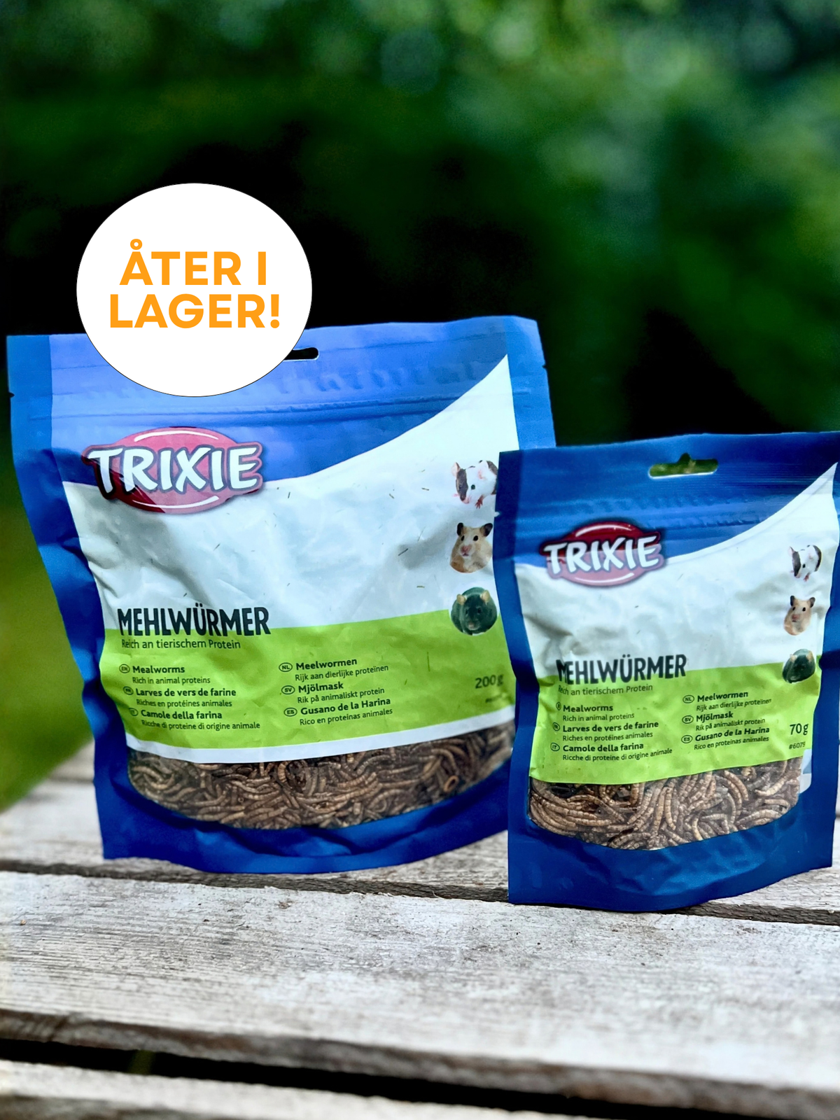 Mealworms 70 g