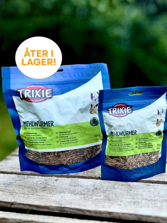 Mealworms 70 g