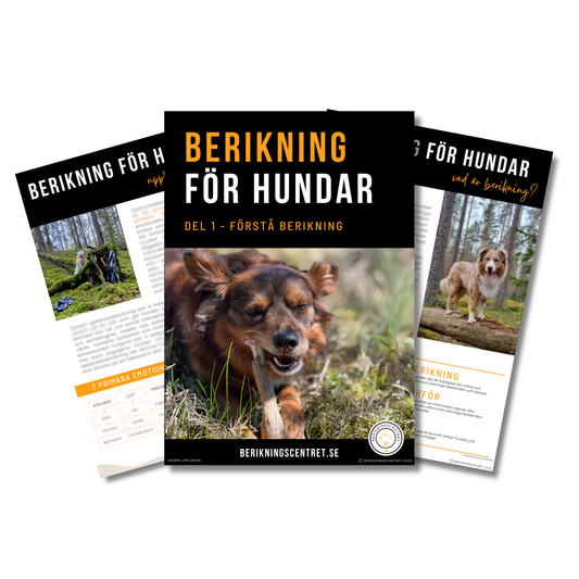 E-bok Berikning för hundar - Del 1 Förstå berikning