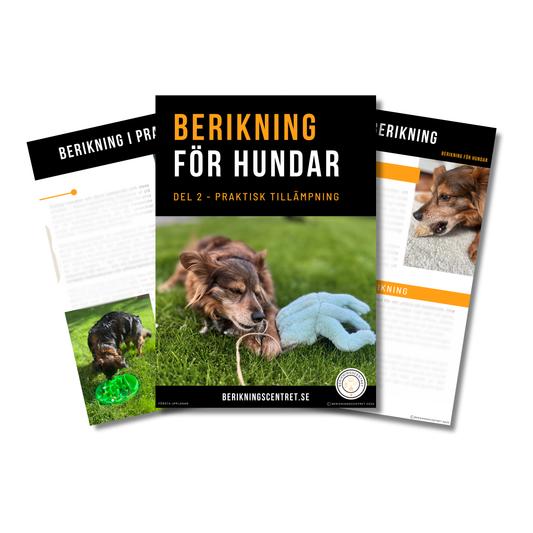 E-bok Berikning för hundar - Del 2 Praktisk tillämpning (Förhandsbeställning)