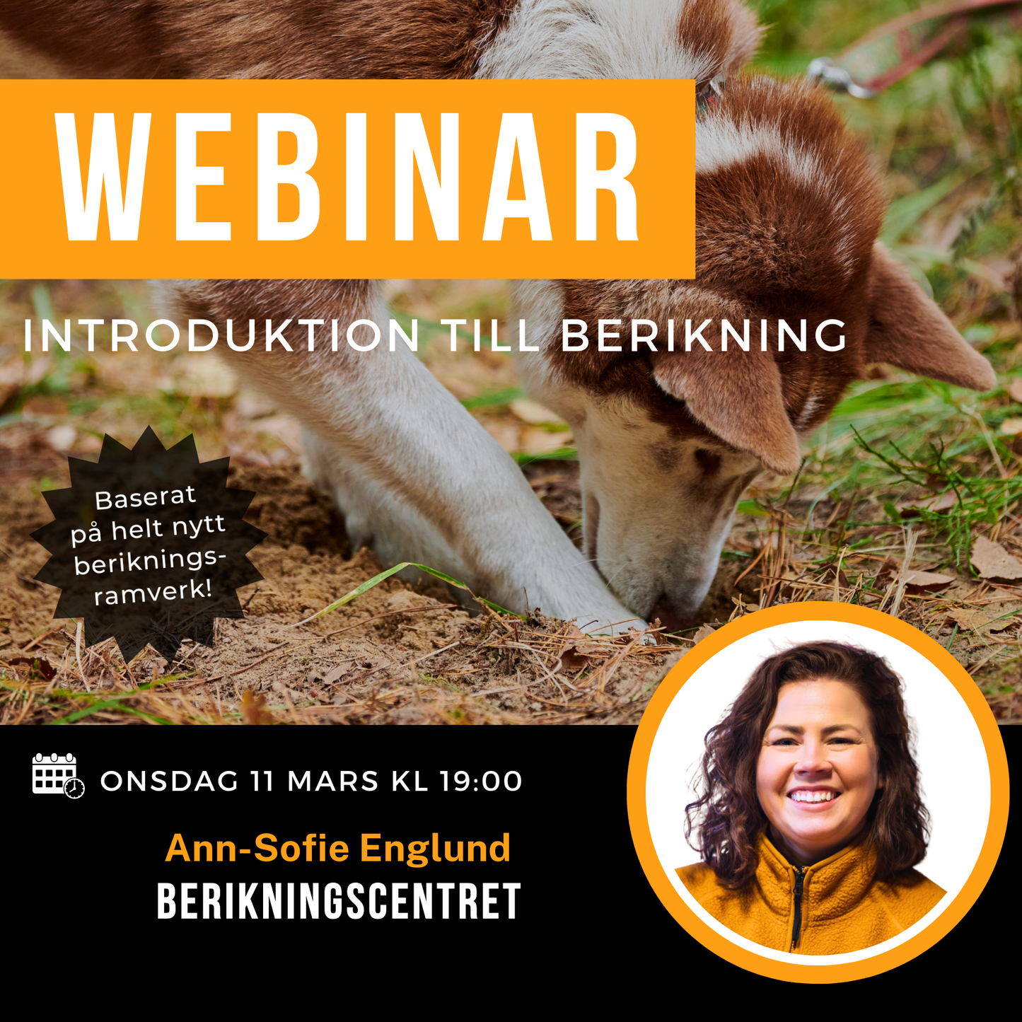 Webinar: Introduktion till berikning