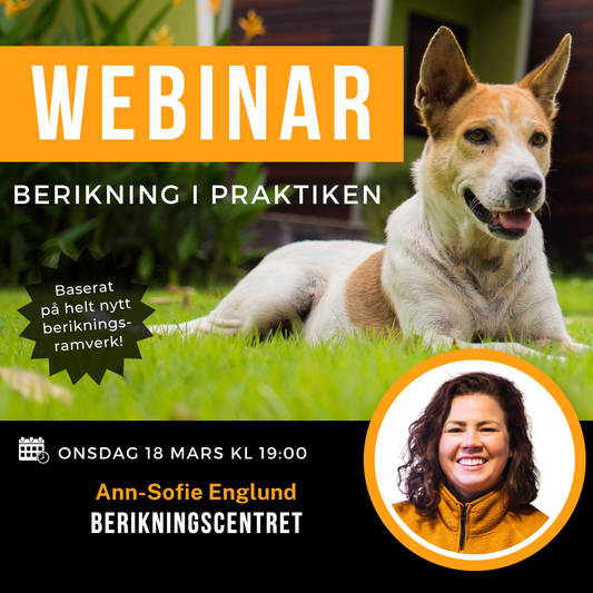 Webinar: Berikning i praktiken