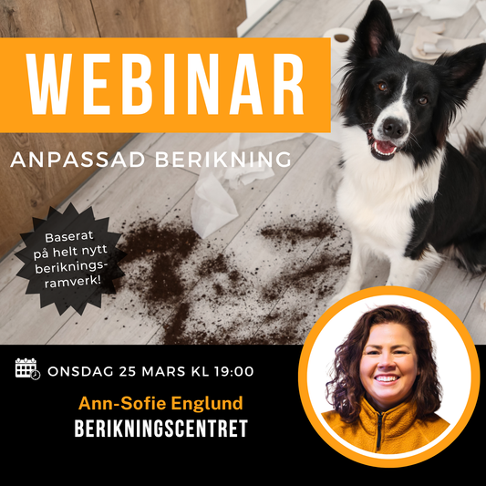 Webinar: Anpassad berikning vid problembeteenden