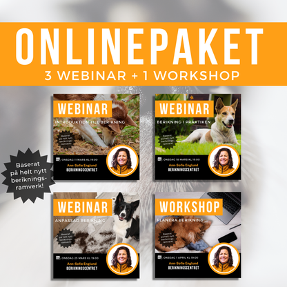 Onlinepaket: 3 webinar + 1 workshop Specialpris!