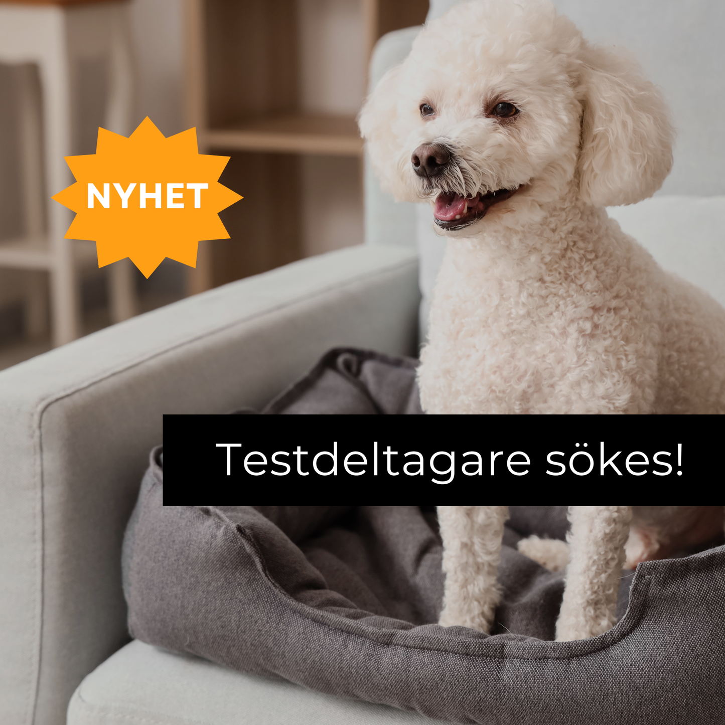 Berikningsprogram 3 mån - Pilotupplägg