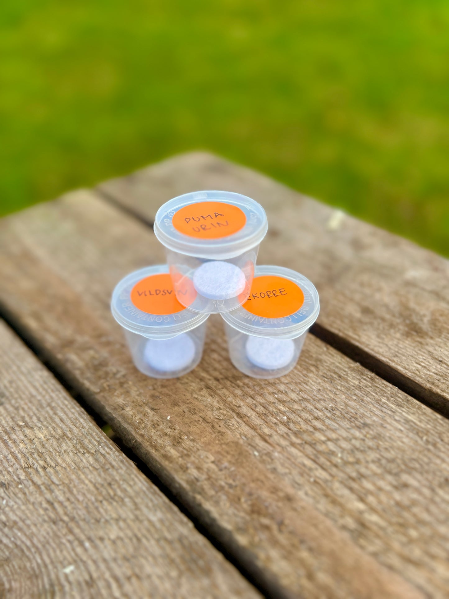 Doft till berikningsupplevelse