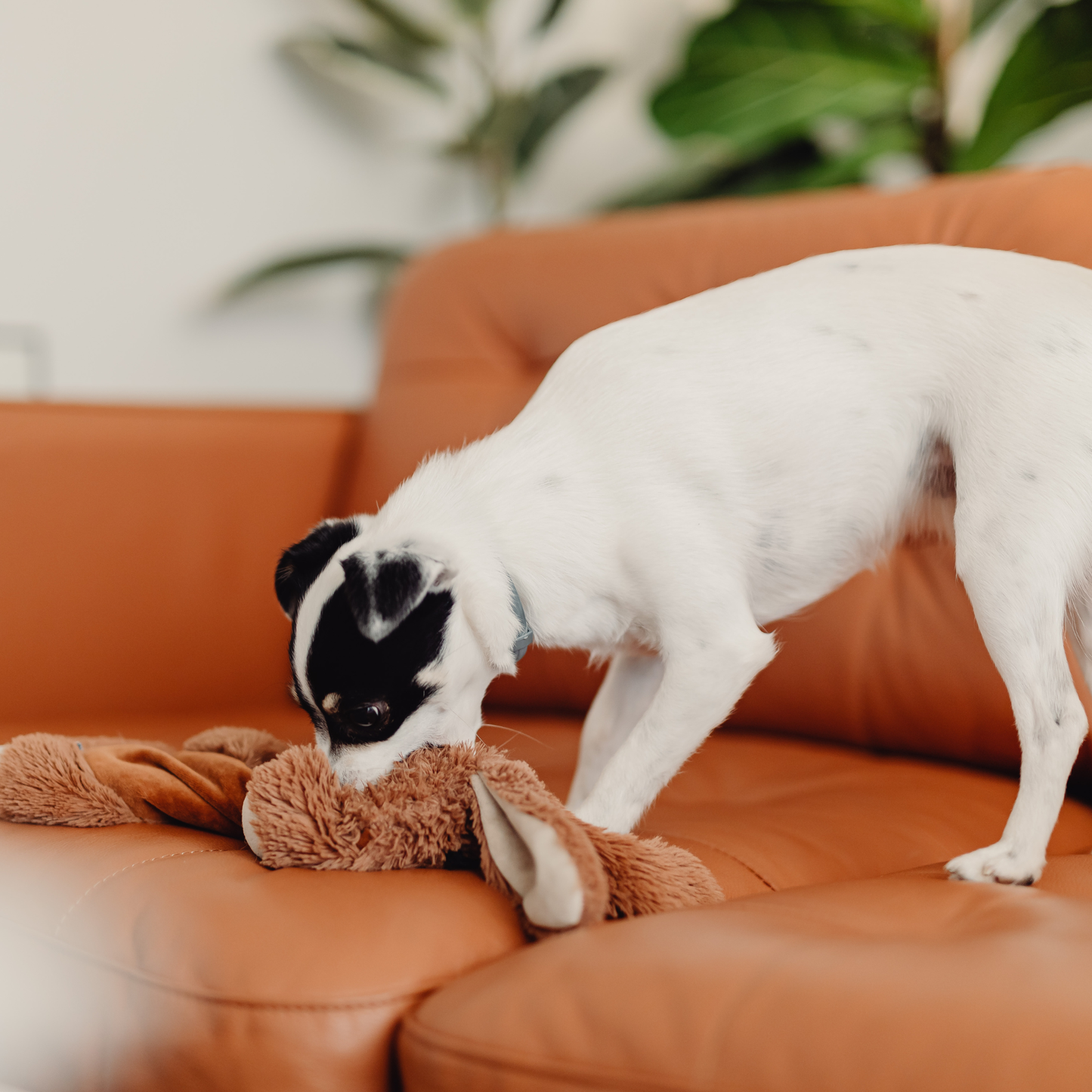 Individanpassad berikning – 3 mån färdiga upplägg