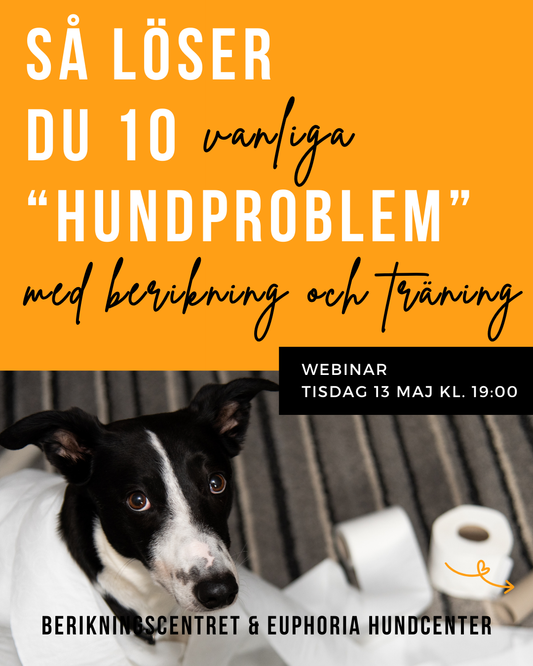 Webinar 13/5