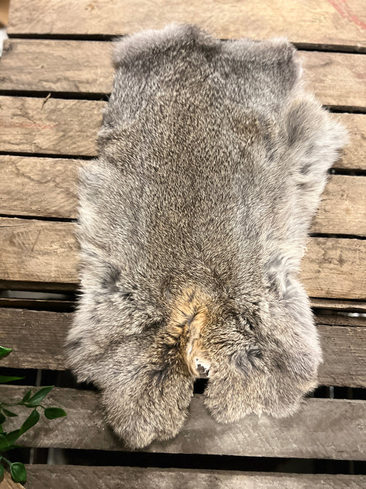 Päls
