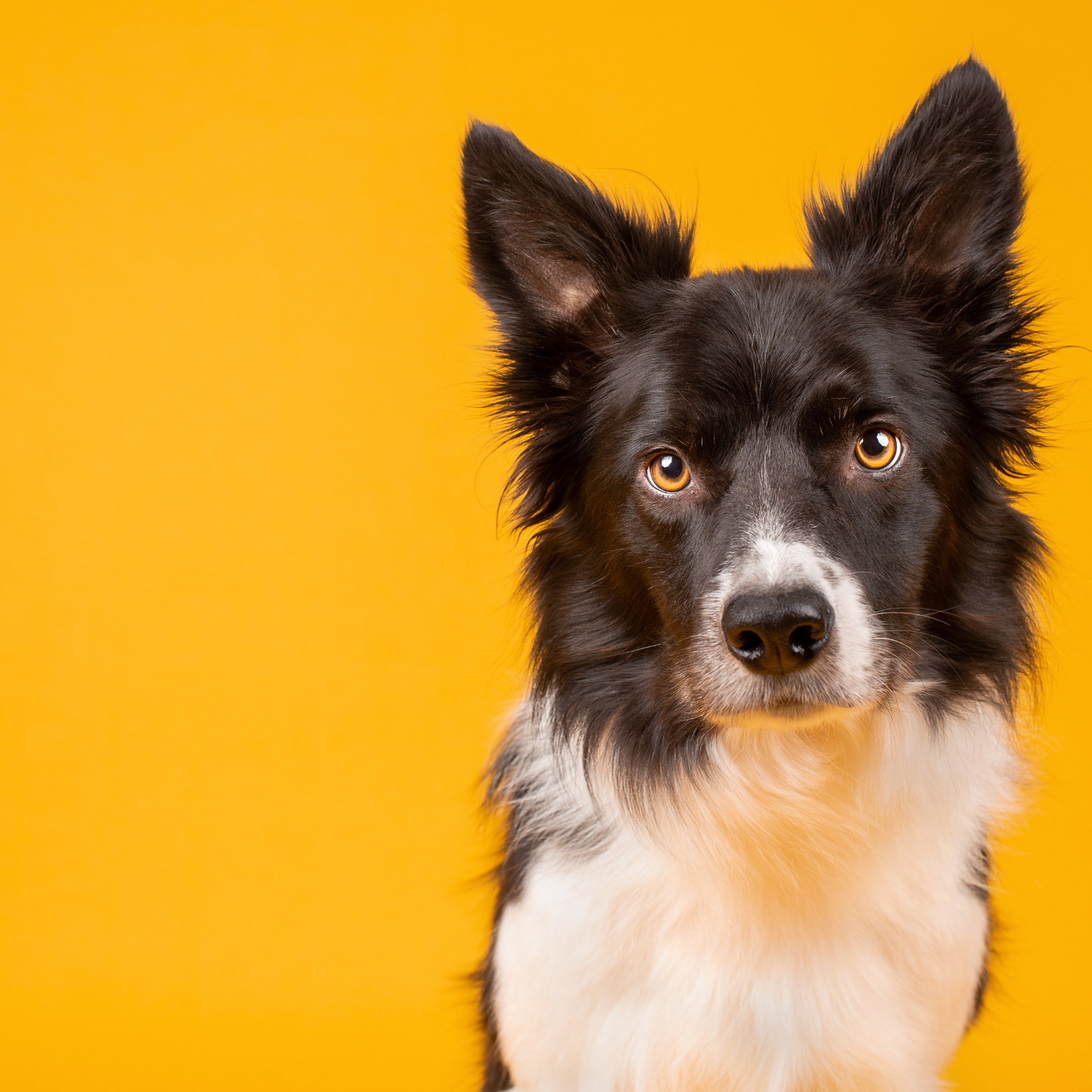 Individanpassad berikning – 3 mån färdiga upplägg