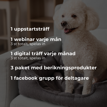 Berikningsprogram 3 mån - Pilotupplägg