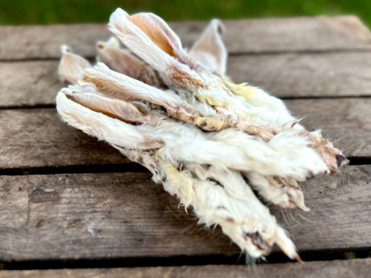 Kaninöron med päls