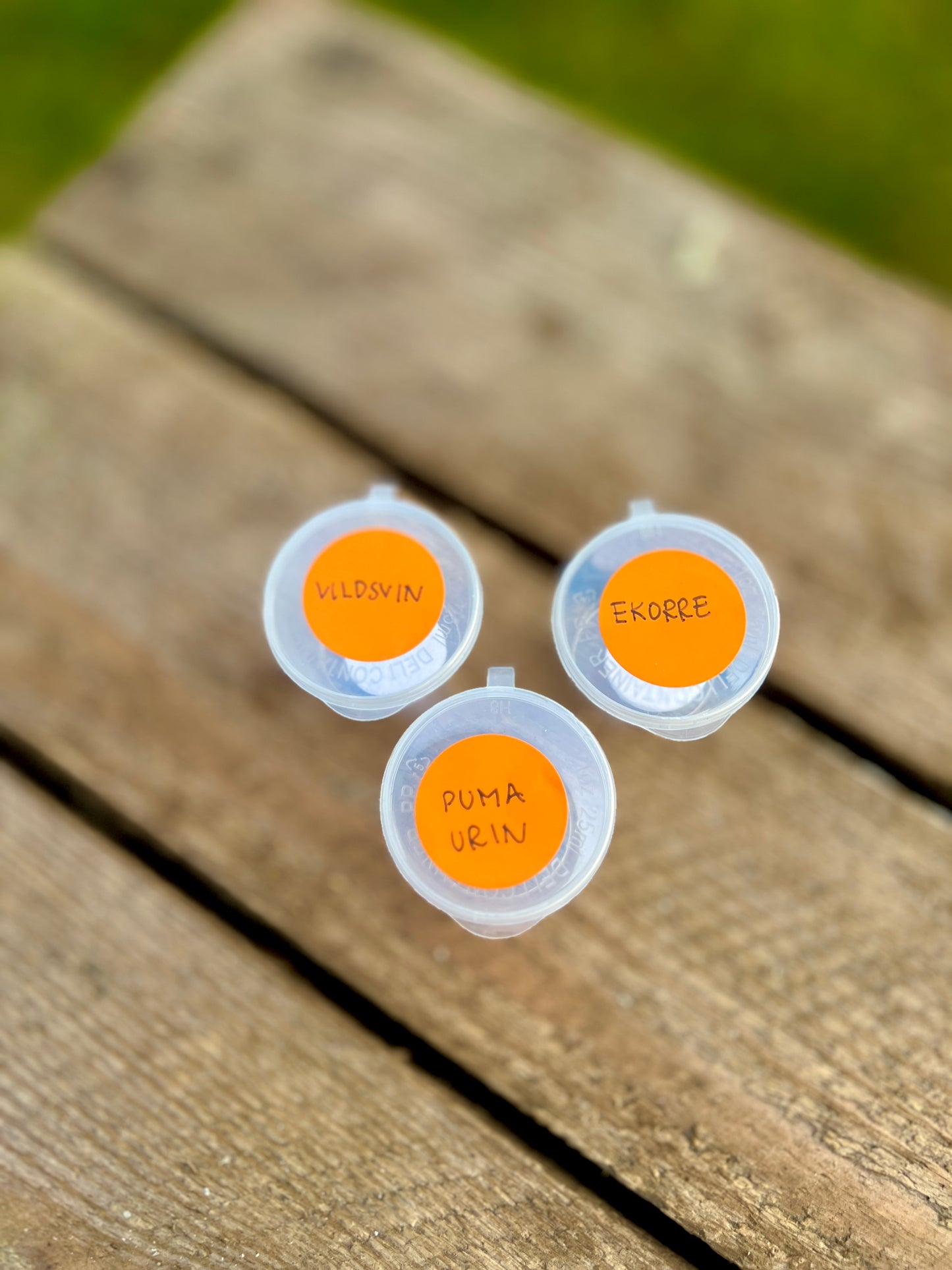 Doft till berikningsupplevelse