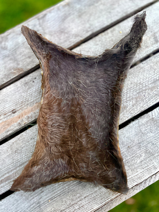 Hästskinn med päls