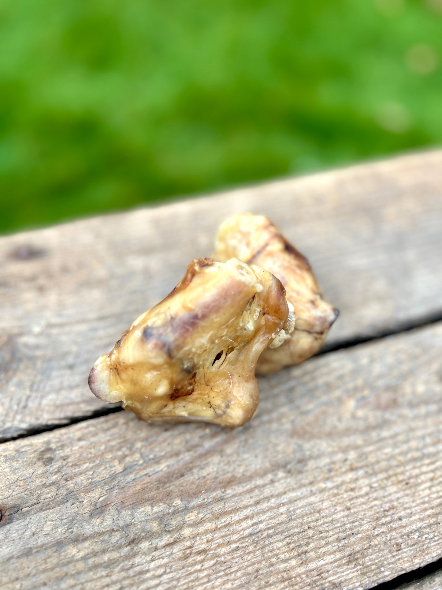 Lamb tendon