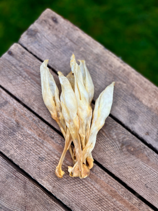 Kaninöron utan päls