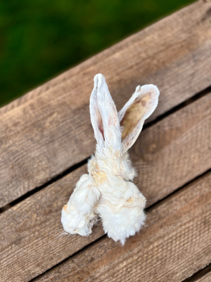 Kaninöron med päls