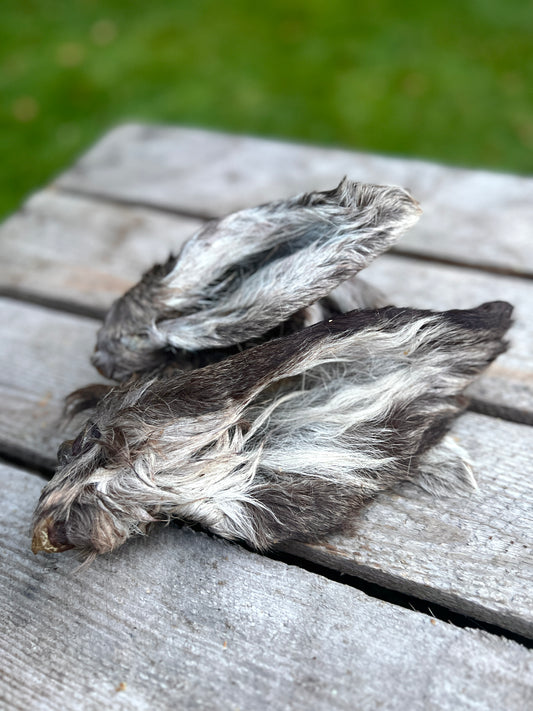 Deer ear